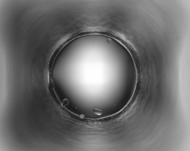 X0000094331221200711021404