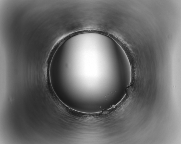 X0000094331222200711021404