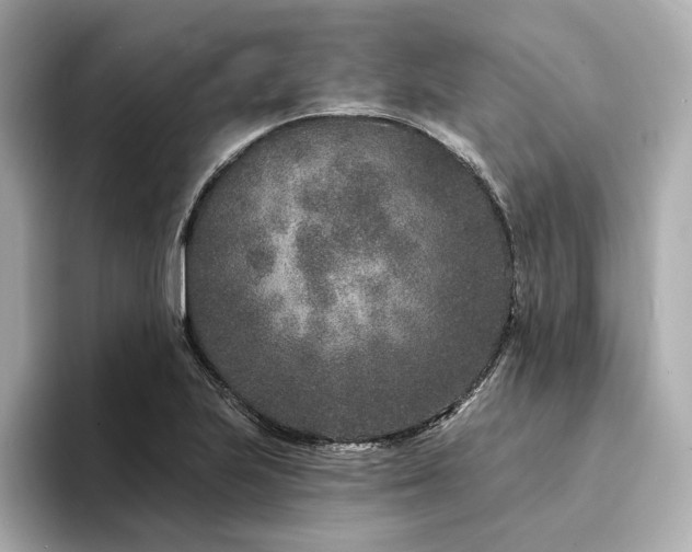 X0000094331223200711021404