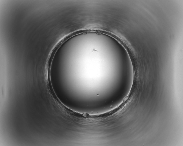 X0000094331224200711021404