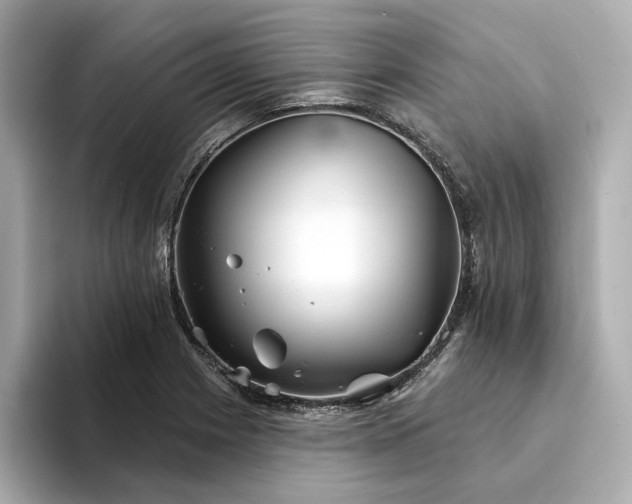 X0000094331225200711021404