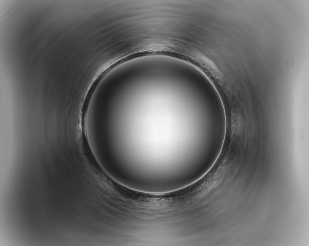 X0000094331226200711021404