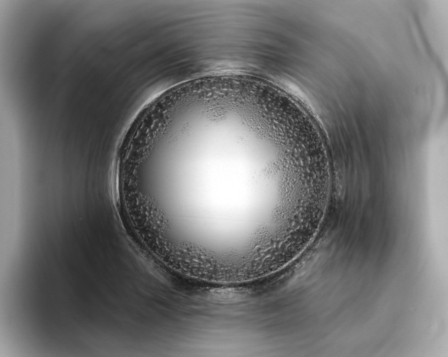 X0000094331227200711021404