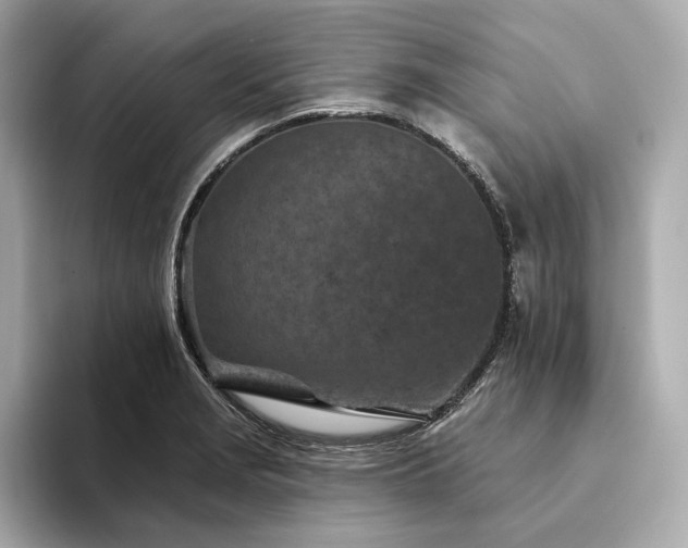 X0000094331229200711021404
