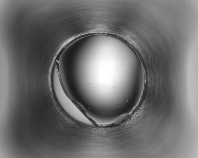 X0000094331230200711021404