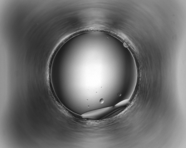 X0000094331232200711021404