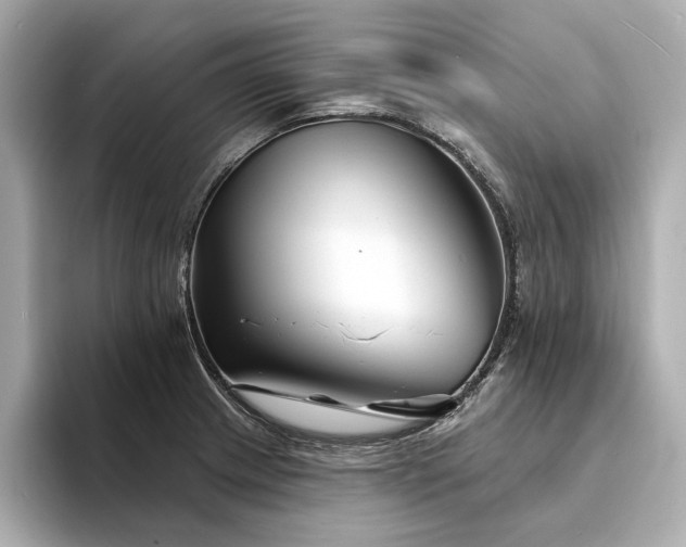 X0000094331233200711021404