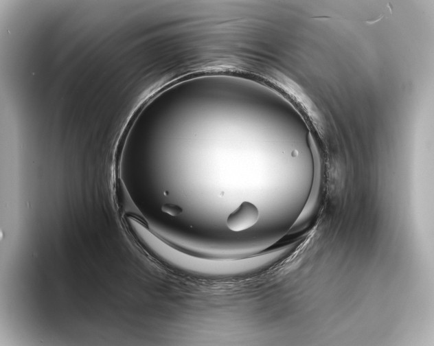 X0000094331234200711021404
