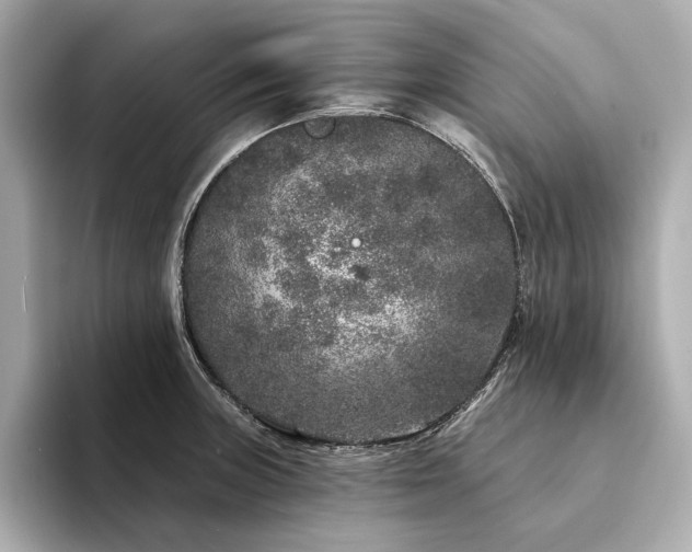 X0000094331235200711021404