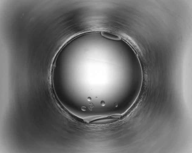 X0000094331236200711021404