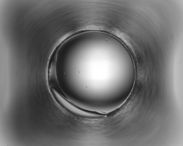 X0000094331237200711021404