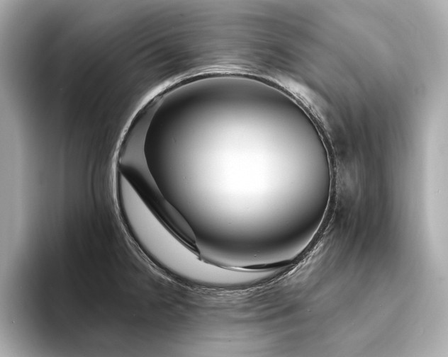 X0000094331238200711021404