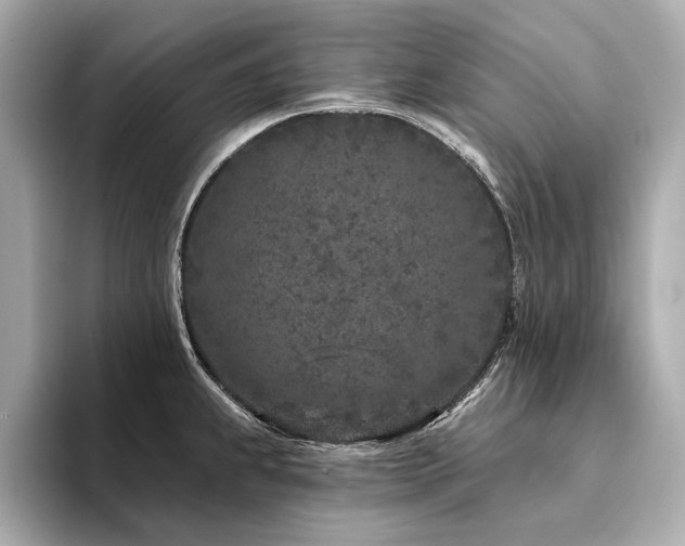 X0000094331239200711021404