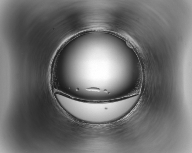 X0000094331240200711021404