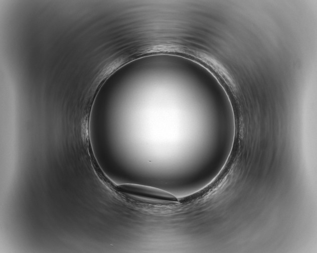 X0000094331241200711021404