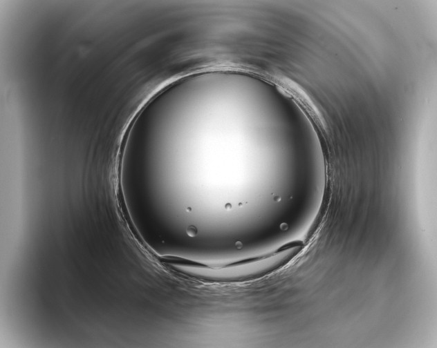 X0000094331244200711021404