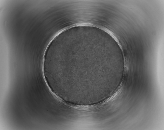 X0000094331245200711021404