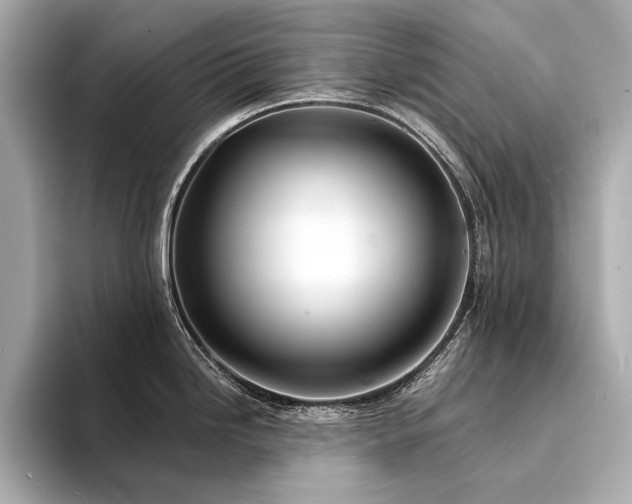 X0000094331246200711021404