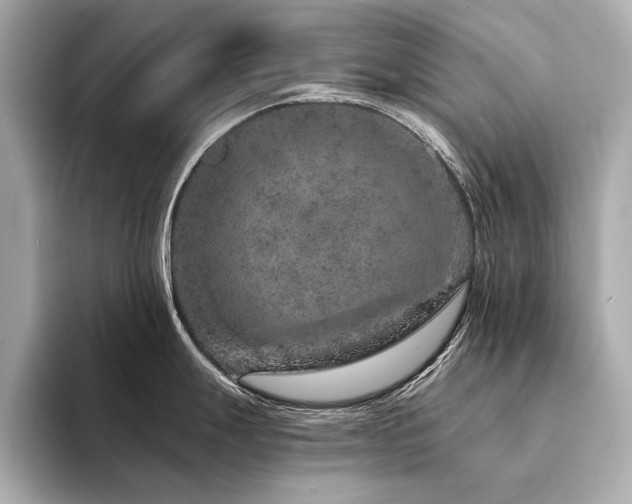 X0000094331247200711021404