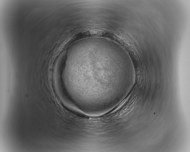 X0000094331249200711021403
