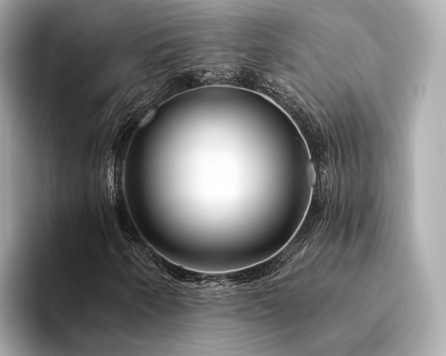 X0000094331250200711021403