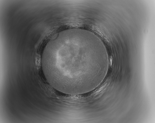 X0000094331251200711021403