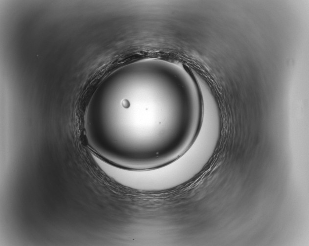 X0000094331253200711021403