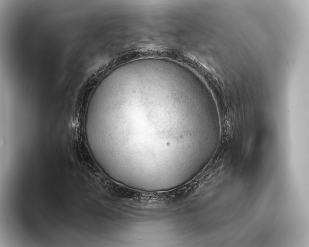 X0000094331254200711021403