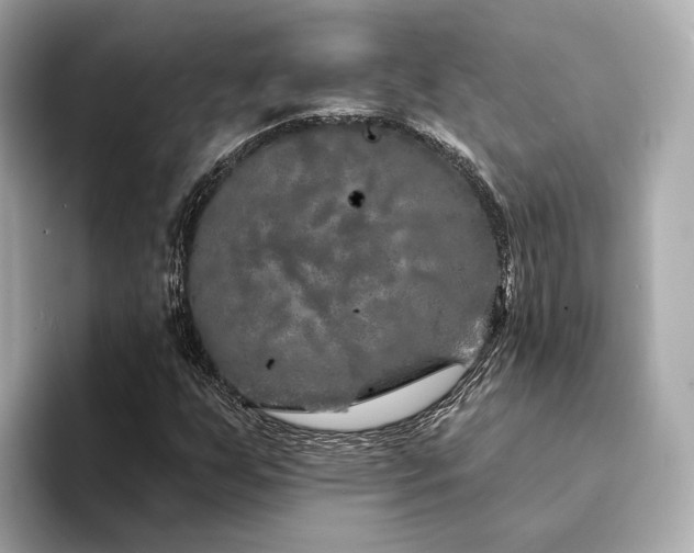 X0000094331255200711021403