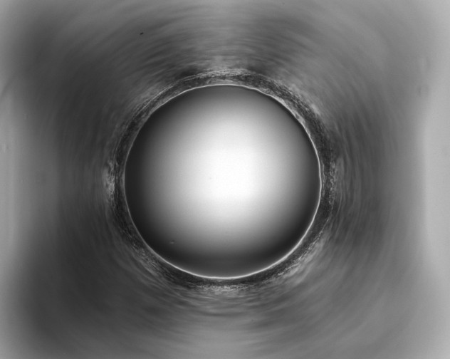 X0000094331257200711021403