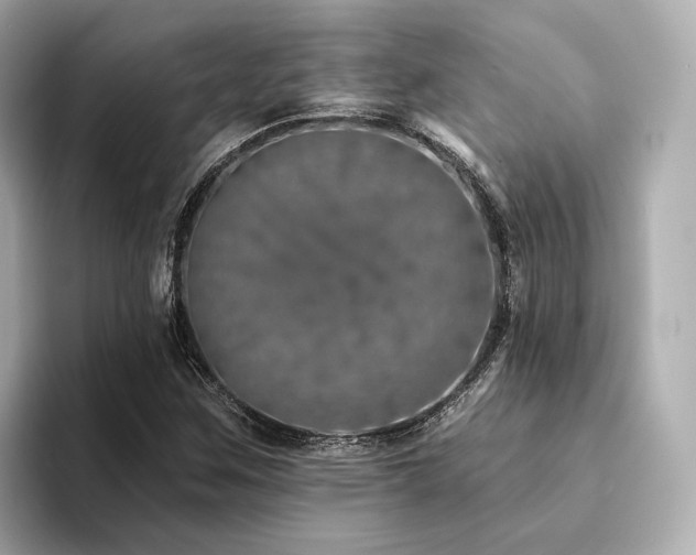X0000094331259200711021403