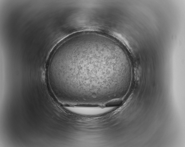 X0000094331260200711021403