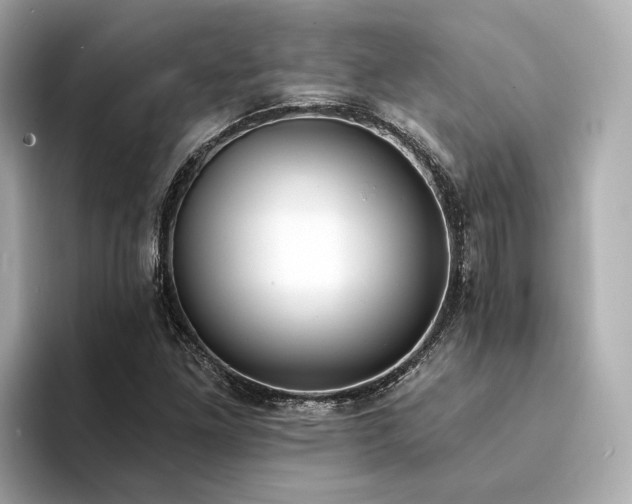 X0000094331261200711021403