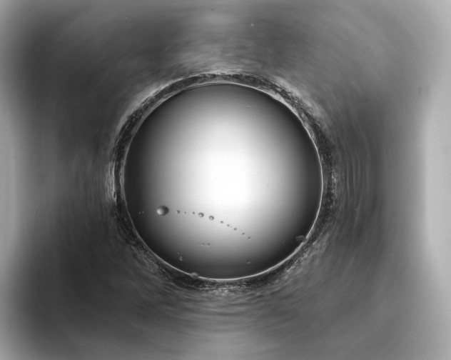 X0000094331262200711021403