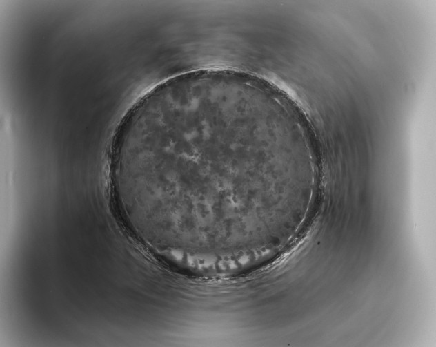 X0000094331263200711021403