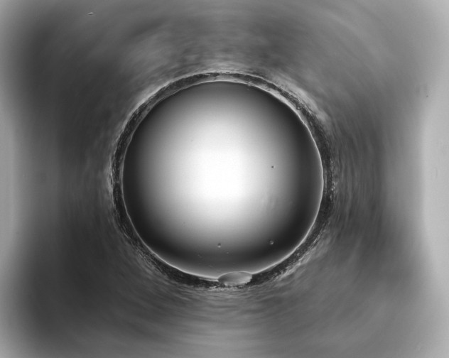 X0000094331264200711021403
