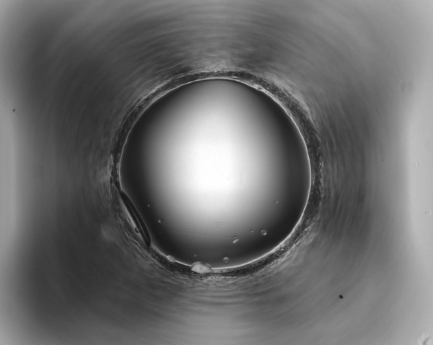 X0000094331265200711021403