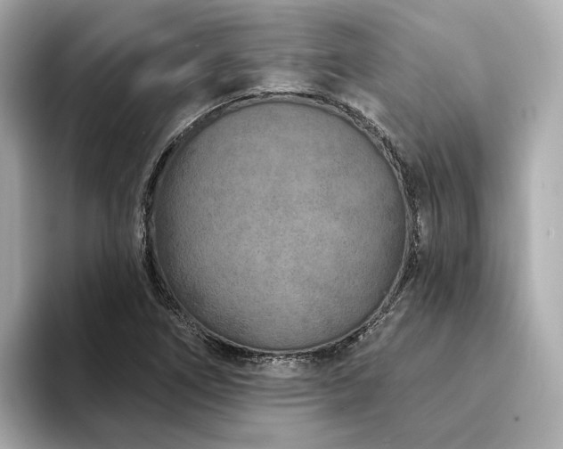 X0000094331266200711021403