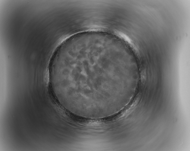 X0000094331267200711021403