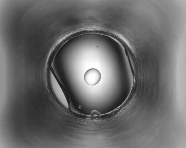 X0000094331270200711021403