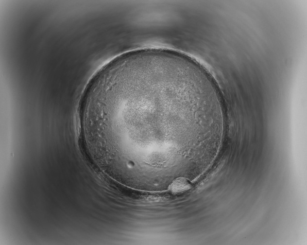 X0000094331271200711021403