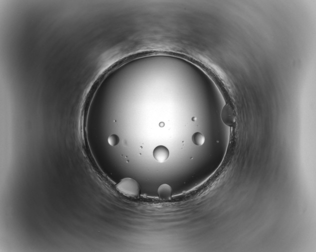 X0000094331272200711021403