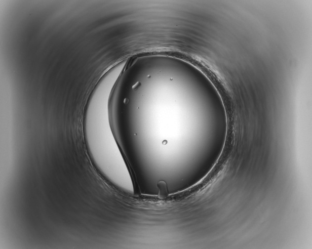 X0000094331273200711021403