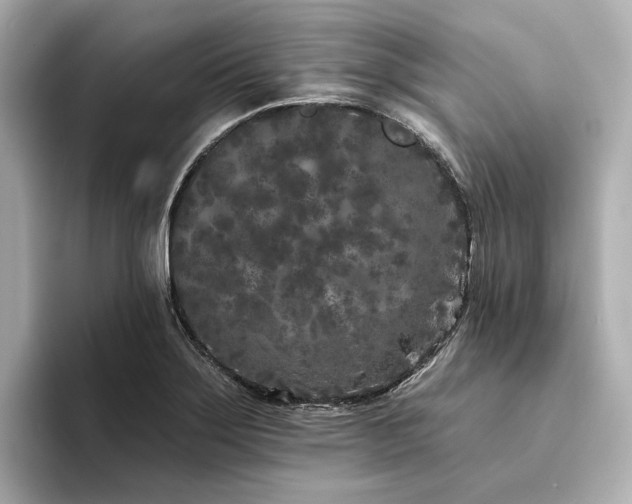 X0000094331275200711021403