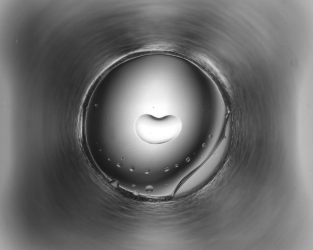 X0000094331276200711021403