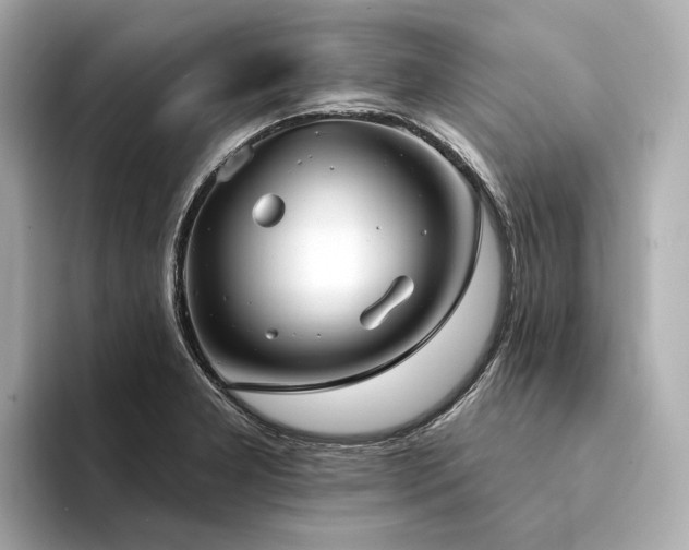 X0000094331277200711021403