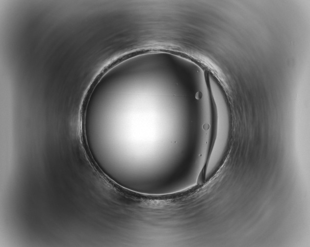 X0000094331280200711021403
