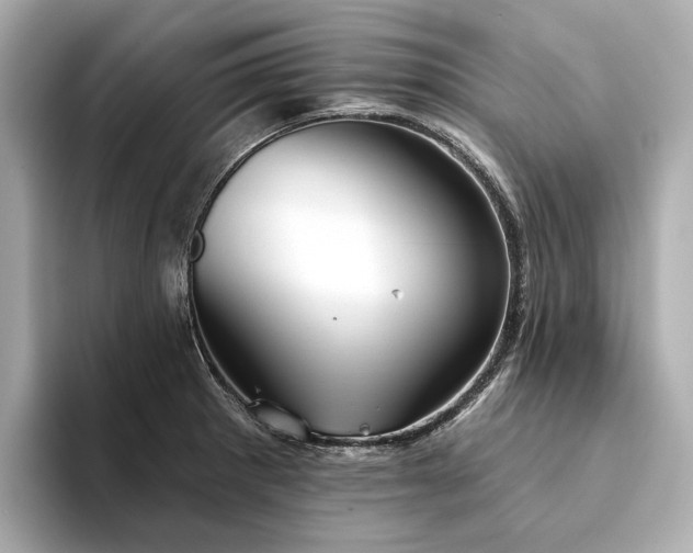 X0000094331281200711021403