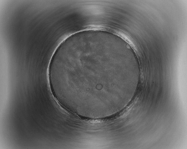 X0000094331283200711021403
