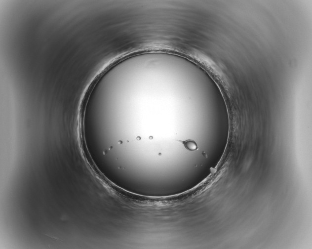 X0000094331286200711021403